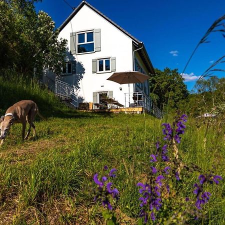 Freistehendes Ferienhaus Mit Kamin, Sauna, Atemberaubenden Blick Ins Tal, Mehrere Terrassen, 1500Qm Grundstueck 1,6M Hoch Eingezaeunt Gerabronn Extérieur photo