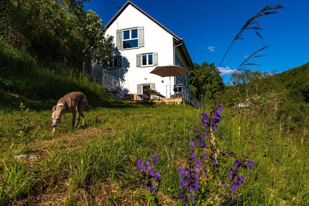 Freistehendes Ferienhaus Mit Kamin, Sauna, Atemberaubenden Blick Ins Tal, Mehrere Terrassen, 1500Qm Grundstueck 1,6M Hoch Eingezaeunt Gerabronn Extérieur photo
