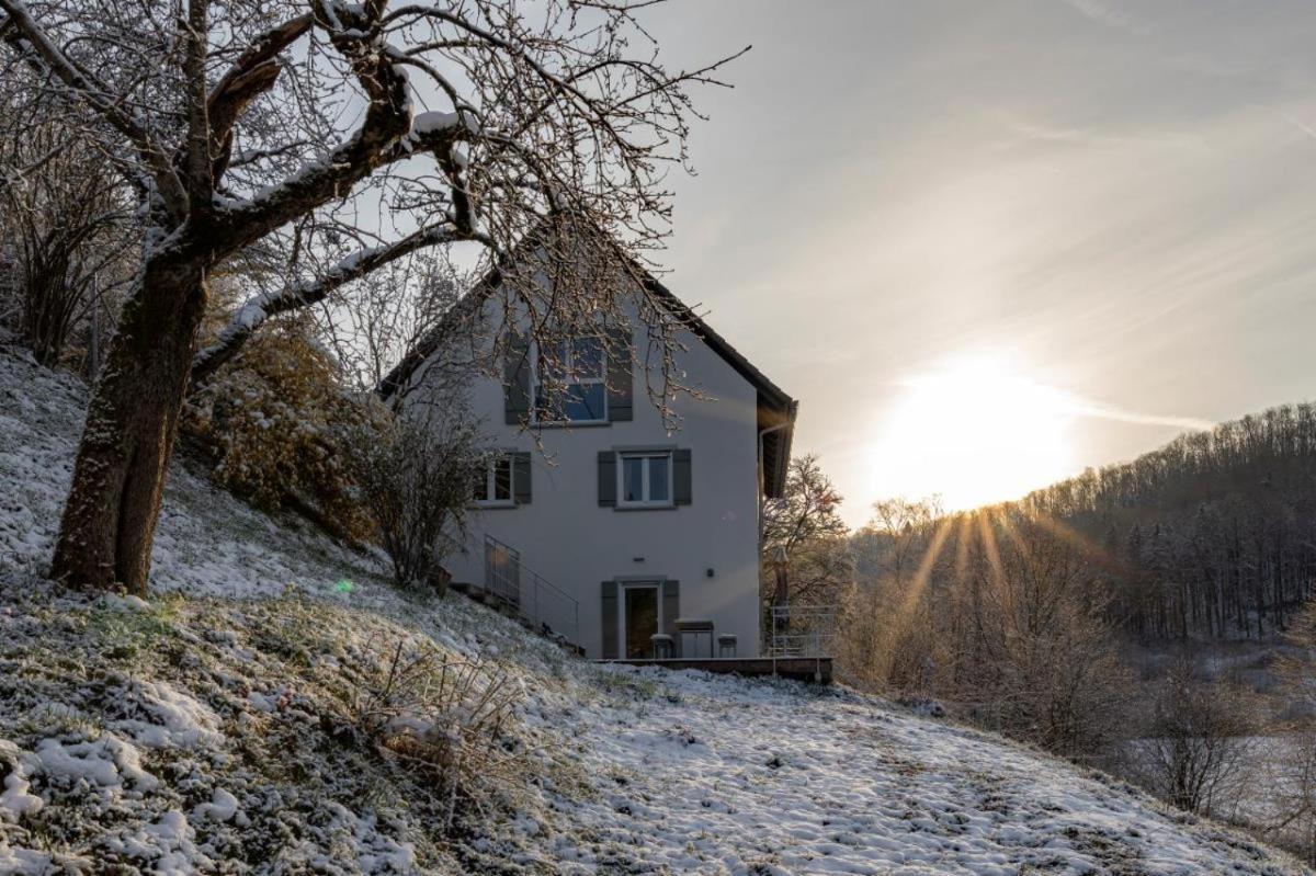 Freistehendes Ferienhaus Mit Kamin, Sauna, Atemberaubenden Blick Ins Tal, Mehrere Terrassen, 1500Qm Grundstueck 1,6M Hoch Eingezaeunt Gerabronn Extérieur photo